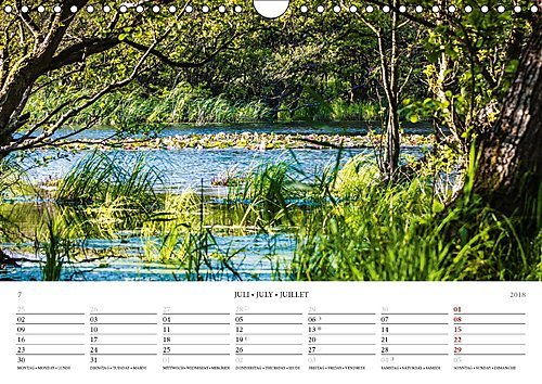 Der Weststrand Kalender (Wandkalender 2018 DIN A4 quer): Der wildromantische Strand auf dem Darß (Monatskalender, 14 Seiten ) (CALVENDO Natur) [Kalender] [May 01, 2017] Kilmer, Sascha - 8