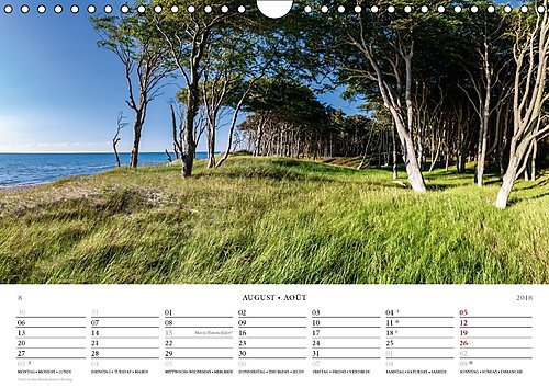 Der Weststrand Kalender (Wandkalender 2018 DIN A4 quer): Der wildromantische Strand auf dem Darß (Monatskalender, 14 Seiten ) (CALVENDO Natur) [Kalender] [May 01, 2017] Kilmer, Sascha - 9