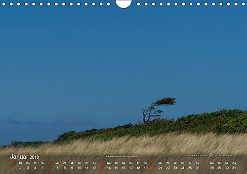 Prerows Wilder Westen (Wandkalender 2019 DIN A4 quer): Der Kalender zeigt die Westküste Prerows auf Fischland und Darß in 12 wild-romantischen Motiven ... (Monatskalender, 14 Seiten ) (CALVENDO Natur) - 2