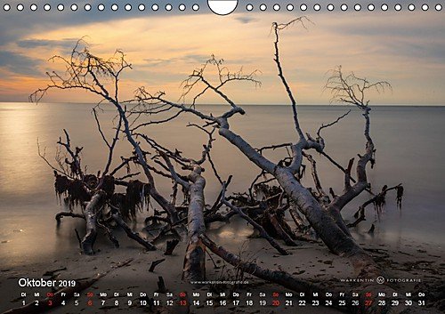 Prerows Wilder Westen (Wandkalender 2019 DIN A4 quer): Der Kalender zeigt die Westküste Prerows auf Fischland und Darß in 12 wild-romantischen Motiven ... (Monatskalender, 14 Seiten ) (CALVENDO Natur) - 11