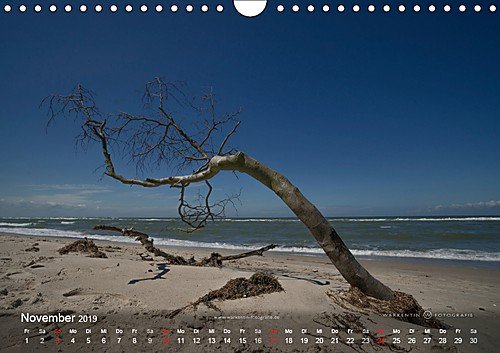 Prerows Wilder Westen (Wandkalender 2019 DIN A4 quer): Der Kalender zeigt die Westküste Prerows auf Fischland und Darß in 12 wild-romantischen Motiven ... (Monatskalender, 14 Seiten ) (CALVENDO Natur) - 12