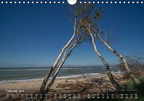 Prerows Wilder Westen (Wandkalender 2019 DIN A4 quer): Der Kalender zeigt die Westküste Prerows auf Fischland und Darß in 12 wild-romantischen Motiven ... (Monatskalender, 14 Seiten ) (CALVENDO Natur) - 3