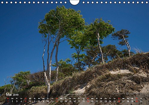 Prerows Wilder Westen (Wandkalender 2019 DIN A4 quer): Der Kalender zeigt die Westküste Prerows auf Fischland und Darß in 12 wild-romantischen Motiven ... (Monatskalender, 14 Seiten ) (CALVENDO Natur) - 6