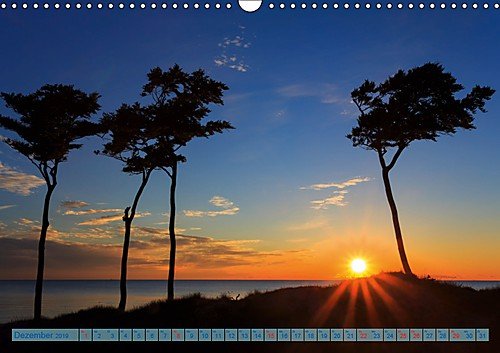 Fischland-Darß-Zingst 2019 Impressionen einer Halbinsel (Wandkalender 2019 DIN A3 quer): Sehnsuchtsbilder der schönsten Halbinsel Deutschlands (Monatskalender, 14 Seiten ) (CALVENDO Natur) - 13