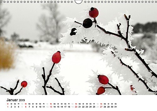 usedomfotos 2019 (Wandkalender 2019 DIN A3 quer): Der Kalender der galerie usedomfotos (Monatskalender, 14 Seiten ) (CALVENDO Natur) - 2