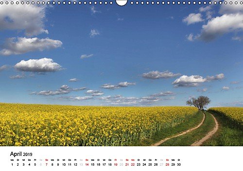 usedomfotos 2019 (Wandkalender 2019 DIN A3 quer): Der Kalender der galerie usedomfotos (Monatskalender, 14 Seiten ) (CALVENDO Natur) - 5